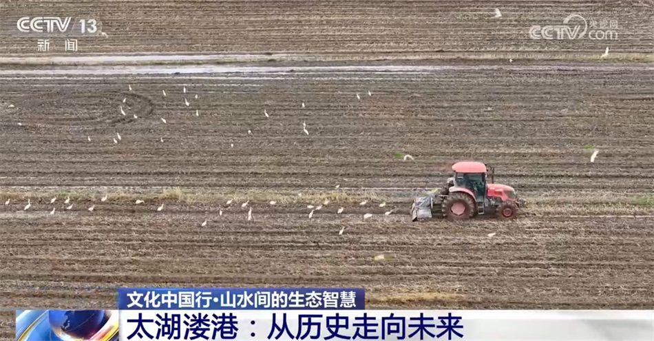 文化中国行·山水间的生态智慧｜太湖溇港惠泽千年从历史走向未来(图8)