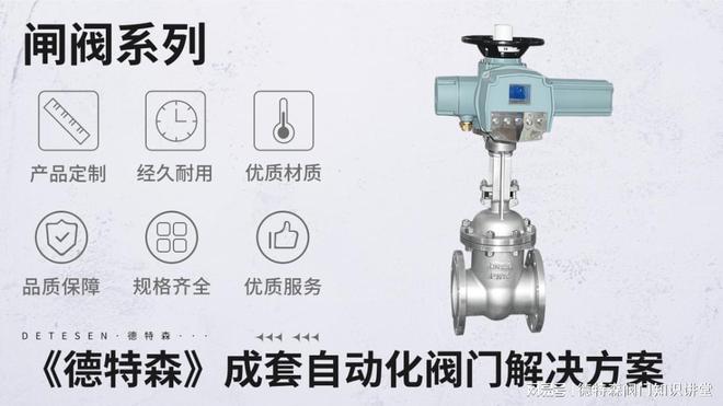 2024-2028年中国电动闸阀行业市场竞争策略展望分析